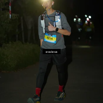Runner Photo 5236299