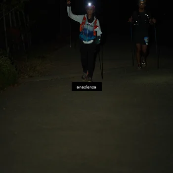 Runner Photo 5236362