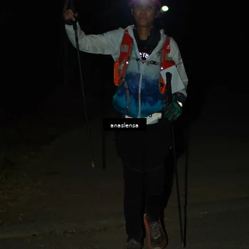 Runner Photo 5236371