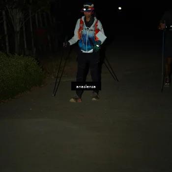 Runner Photo 5236387