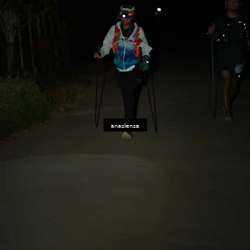 Runner Photo 5236388