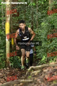 Runner Photo 523649