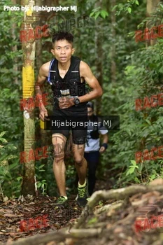 Runner Photo 523653