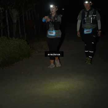 Runner Photo 5236565