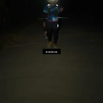 Runner Photo 5236580