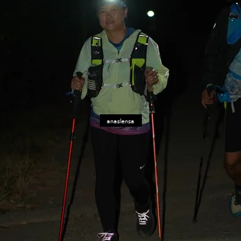 Runner Photo 5236656