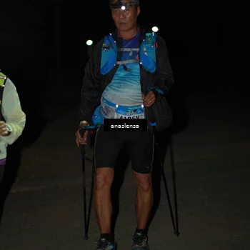 Runner Photo 5236657