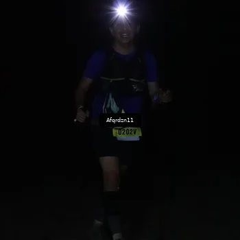Runner Photo 5236695