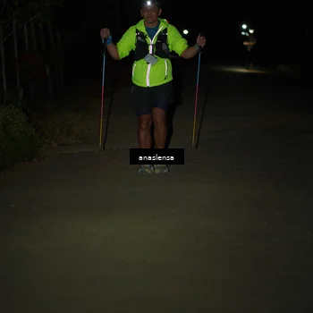 Runner Photo 5236733