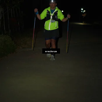 Runner Photo 5236738