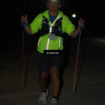 Runner Photo 5236750