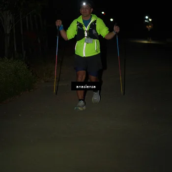 Runner Photo 5236754