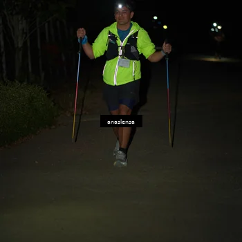Runner Photo 5236756