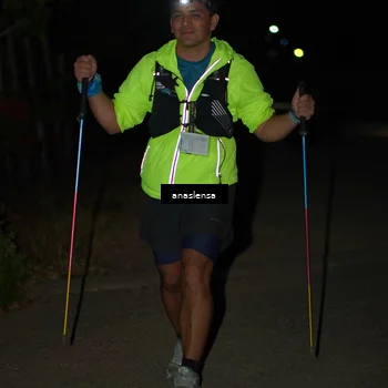 Runner Photo 5236763