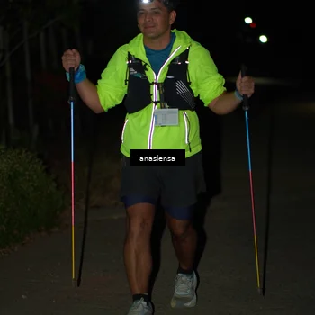 Runner Photo 5236764
