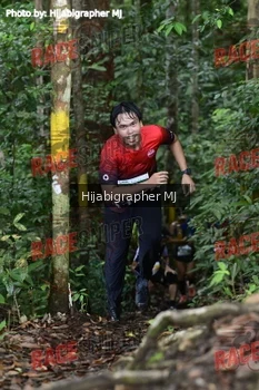 Runner Photo 523681