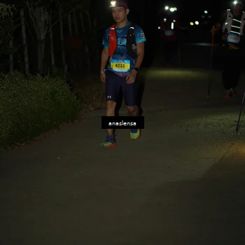 Runner Photo 5236854