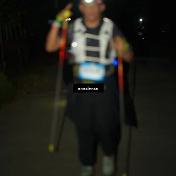 Runner Photo 5236887