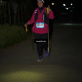 Runner Photo 5236895