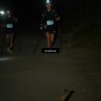 Runner Photo 5236938