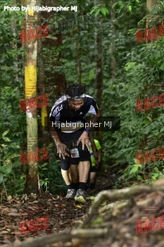 Runner Photo 523695