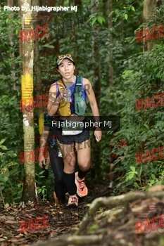 Runner Photo 523696