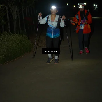 Runner Photo 5236986