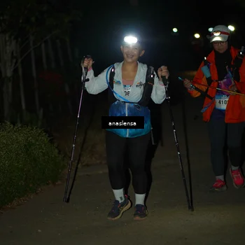 Runner Photo 5236988