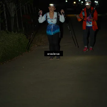 Runner Photo 5236992