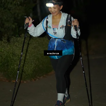Runner Photo 5236995