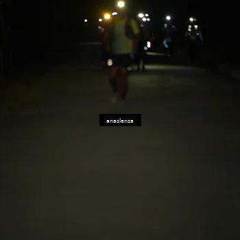 Runner Photo 5237018
