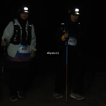 Runner Photo 5237151