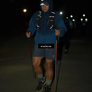 Runner Photo 5237255