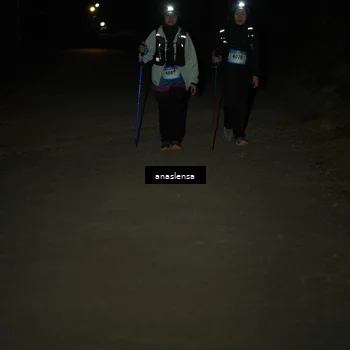 Runner Photo 5237292