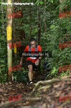 Runner Photo 523730
