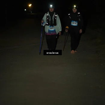 Runner Photo 5237300