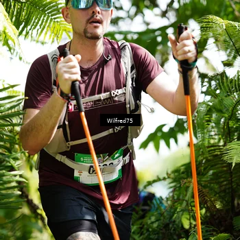 Runner Photo 5237316