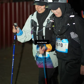 Runner Photo 5237437