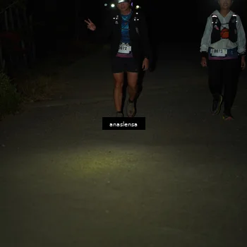 Runner Photo 5237481