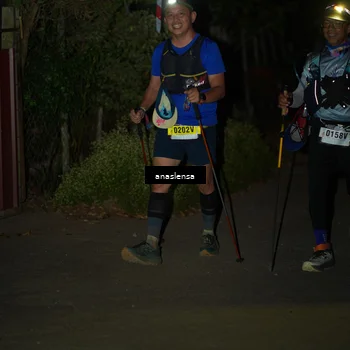 Runner Photo 5237538