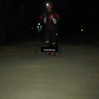 Runner Photo 5237679