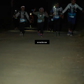 Runner Photo 5237685