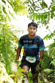 Runner Photo 5237699