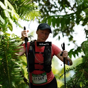Runner Photo 5237741