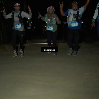 Runner Photo 5237745
