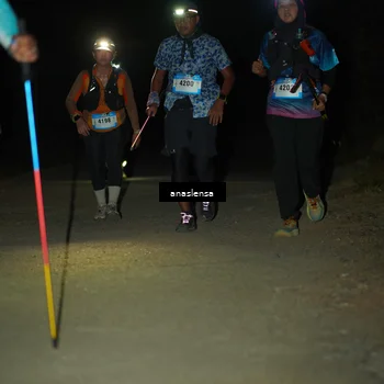 Runner Photo 5237754