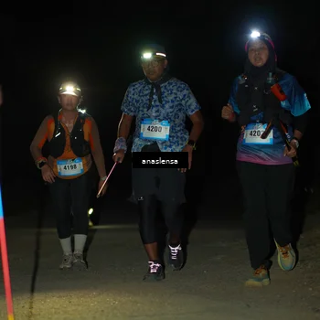 Runner Photo 5237756