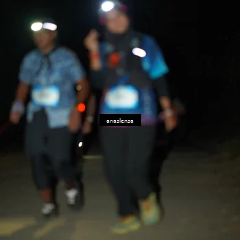 Runner Photo 5237757