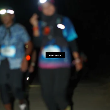 Runner Photo 5237758