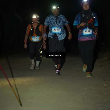 Runner Photo 5237762